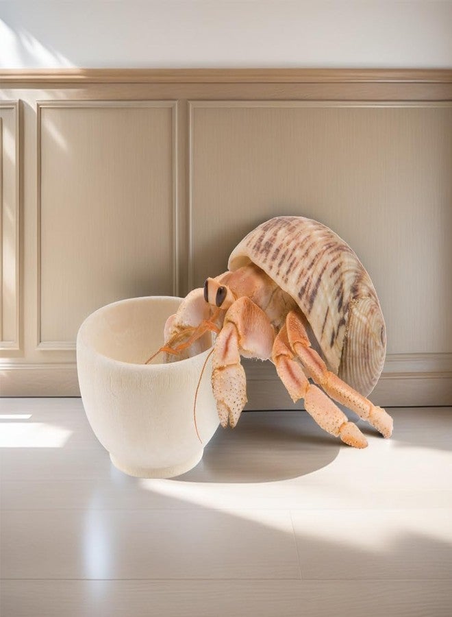 DQITJ 6 Pcs Hermit Crab Food Bowl Small Wooden Feeding Dish for Hermit Crab Snail Millipede Insect - Image 4